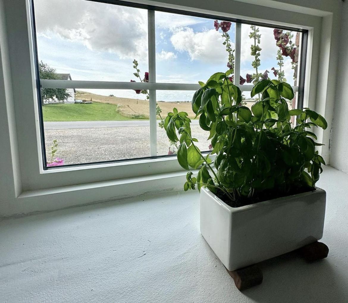 Lilla Stenhuset Ystad Ngoại thất bức ảnh